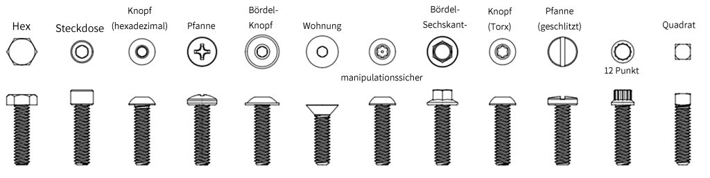 Die Grundlagen