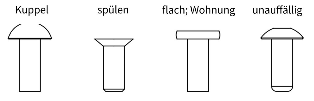 Die Grundlagen